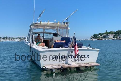 Bertram 26 technische daten